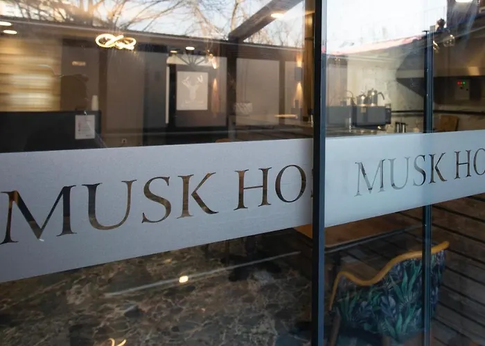 Musk24H